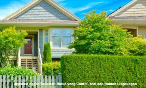 Inspirasi Pagar Tanaman Hidup yang Cantik, Asri dan Ramah Lingkungan Inspirasi Pagar Tanaman Hidup yang Cantik, Asri dan Ramah Lingkungan